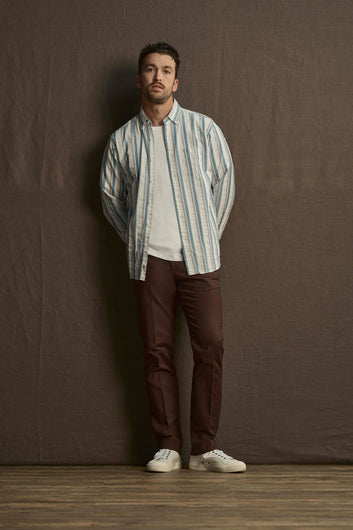 Cotton Casual Brown Pant